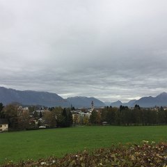 IMG 005